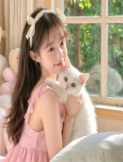 从悬疑片角度解读兔小贝儿歌之舞蹈儿歌：的市场表现与观众反响 ——带你领略悬疑片的魅力